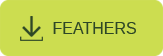 DOWNLOAD FEATHERS