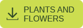 DOWNLOAD PLANTS AND FLOWERS